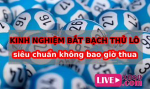 Kinh nghiệm bắt bạch thủ lô siêu chuẩn không bao giờ thua